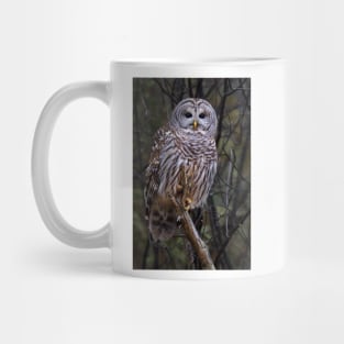 Barred Owl Mug